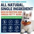 thumbnail image 3 of Large Pig Ears for Dogs 100 Pack –Single Ingredient Dog Treats – Long Lasting Chew by Fetcheroni, 3 of 8