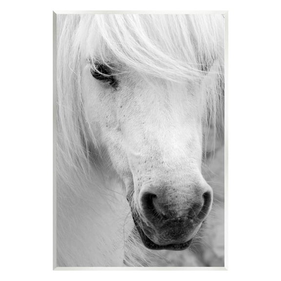 Elegant White Horse Stallion Animals & Insects Photograph Unframed Art Print Wall Art