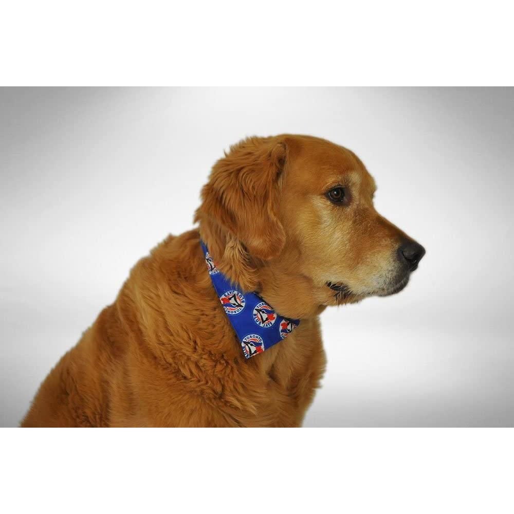 Silverpaw Blue Jays de Toronto officiel Bandana Collier Petit