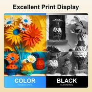 67xl HP 67 Combo Ink Cartridges for deskjet 2842e ink/2800e Printer Ink Compatible with Deskjet 2852e 4200e 4252e 4255e