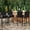 Gray, variant on Panapinka Outdoor Wicker Bar Stools Set of 4,Patio Rattan Barstools for Backyard