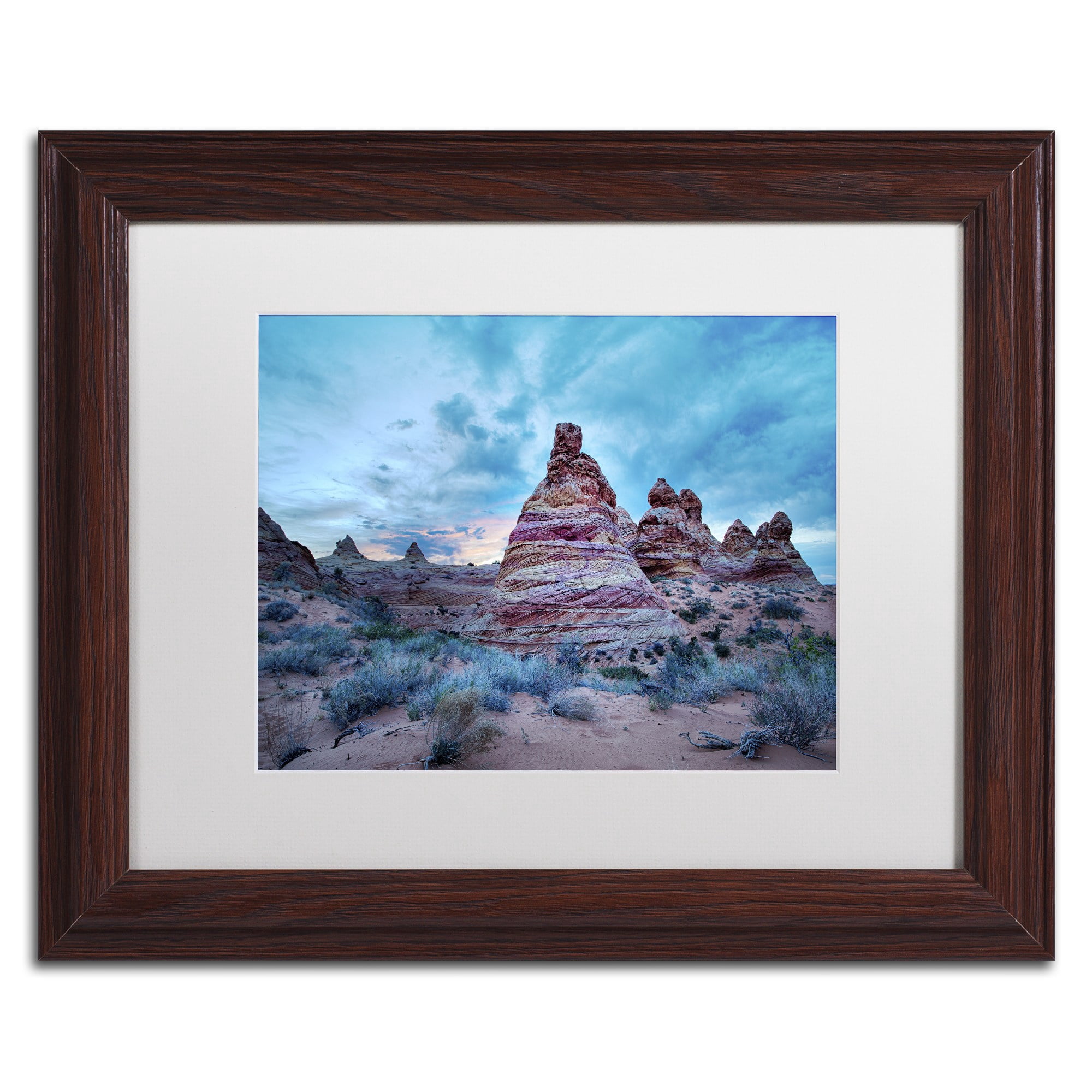 Trademark Fine Art "Cottonwood I" Canvas Art by Moises Levy White Matte, Wood Frame