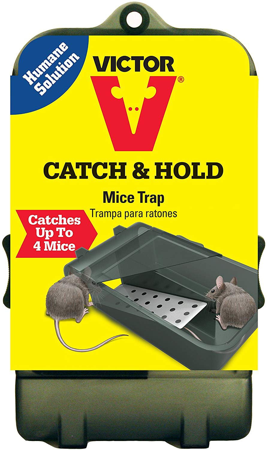 Woodstream VICTOR 2pk Plastic Live Catch Mouse Trap M007 for sale online 