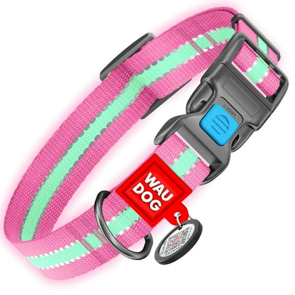 Nylon Reflective Dog Collar | Adjustable Dog Collar for Large, Small & Medium Dogs | Personalized Soft and Fashion Patterns Dog Collars | Boy & Girl Dog Collars with Durable Plastic Buckle - Pink