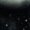 Black-4, variant on Three Moon Wolf 3 Moons Howling At Space Wolf Magic Meme T-Shirt eBay-TH56017