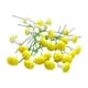 thumbnail image 2 of Xihbxyly Soportes de Resina para Arreglos Florales, Adornos Decorativos de Espuma Brillante, Amarillo Vibrante, Rojo y Azul, Decoración de Jardín En Miniatura, Decoración Versátil para Fiestas En Cas, 2 of 6