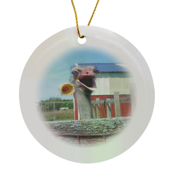 3drose, What No Ice Cream Ostrich, Circle Porcelain Ornament