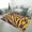style-2, variant on Red Zebra Carpet for Home Decoration Soft Comfy Rugs for Bedroom Living Room Bathroom Entrance Non-slip Comfort Mat