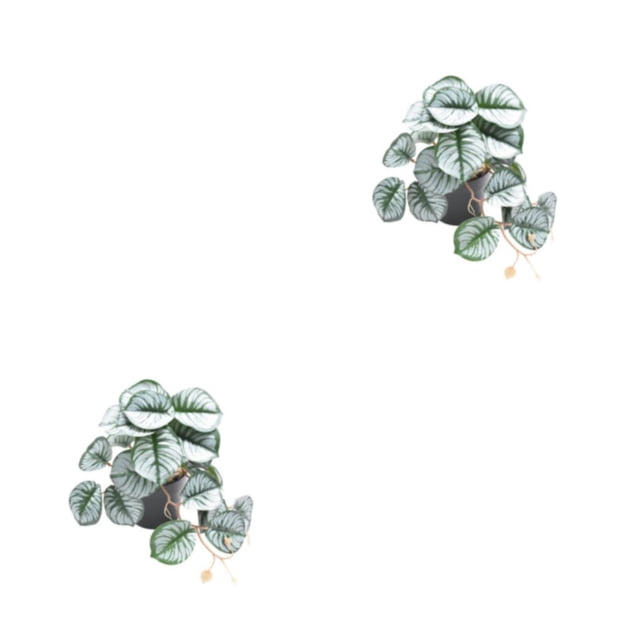Inteprter Plantas De Terrario Tropical - Frescura Y Elegancia Para El Hogar Plantas De Amplia Aplicación Artificiales Type2 NO2