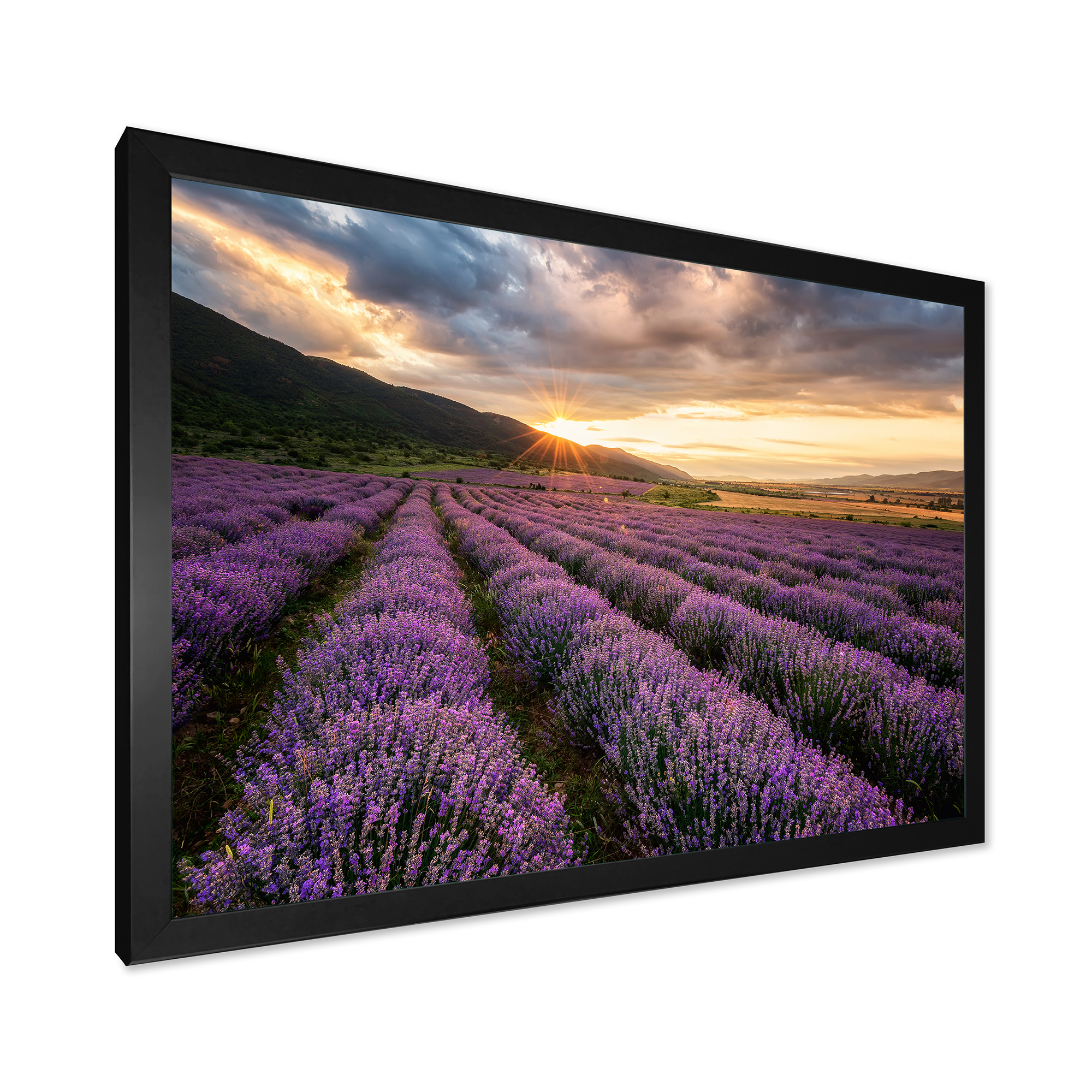 Designart 'Dramatic Clouds and Sunrise Over Lavender Field VI' Farmhouse Framed Art Print