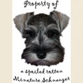 thumbnail image 3 of CafePress - Mini Schnauzer T Shirt - Men's Classic Graphic T-Shirt, 3 of 4