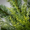 thumbnail image 2 of 12"H Sullivans Lush Douglas Fir Christmas Mini Wreath, Green, 2 of 4