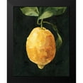thumbnail image 2 of Caroline, Emma 20x24 Black Modern Framed Museum Art Print Titled - Dark Lemon I, 2 of 5