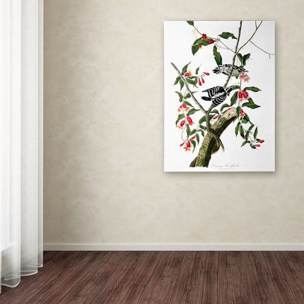 Trademark Fine Art "Downy Woodpecker" Canvas Art by John James Audubon