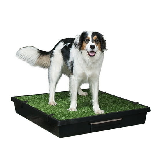 PetSafe Pet Loo Portable Dog Potty,Toilet Alternative for Puppy Pads, Perfect for House Training, Easy-to-Clean Grass Mat, Large
