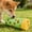 Green, variant on Chicken Feeding Toy,Pet Forever Snack Spin,Cat Dog Treat Dispenser Toy,6IN Cat Interactive Feeder Pet Food Toys Feeder Rotating Food Leakage Device Rotate with Strong Suction Cup(Purple)