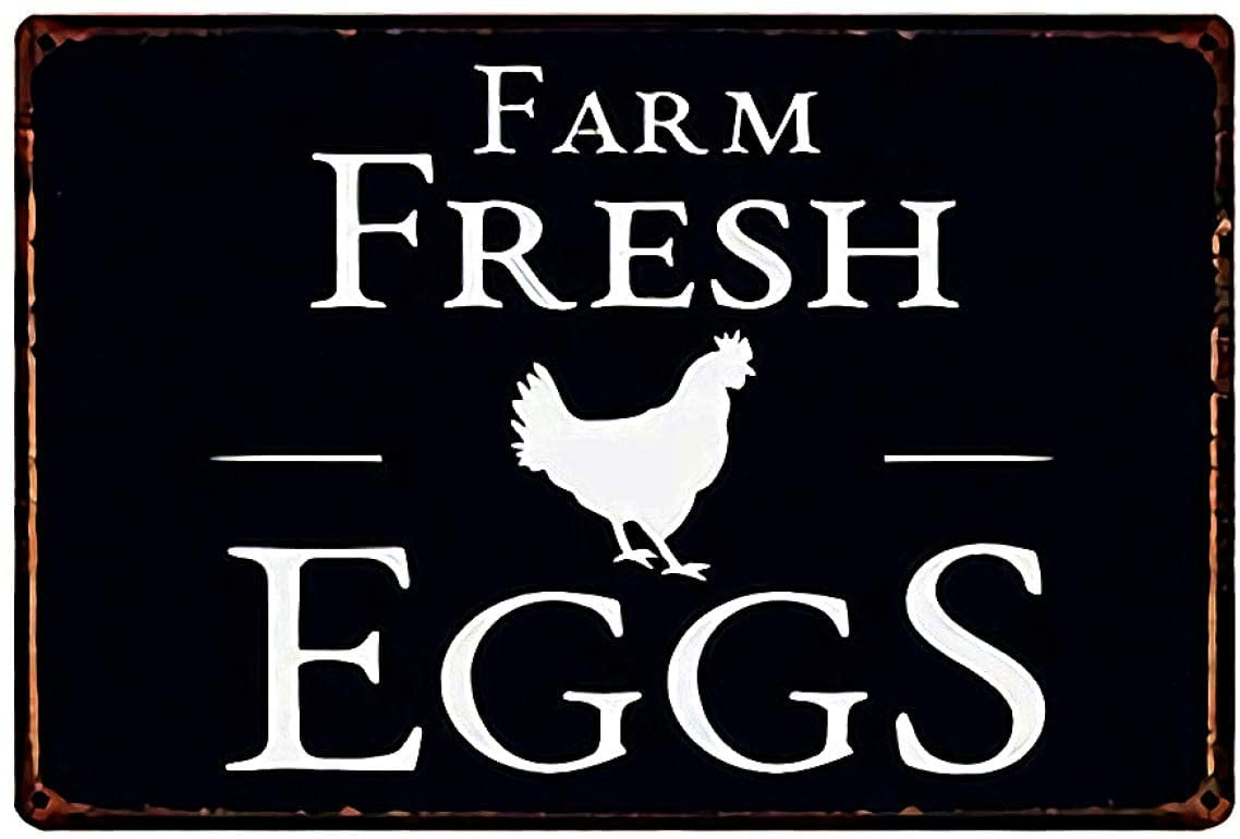 Fresh Farm Eggs Free Range Advert Cafe Kitchen Shop Small Metal Steel Sign 