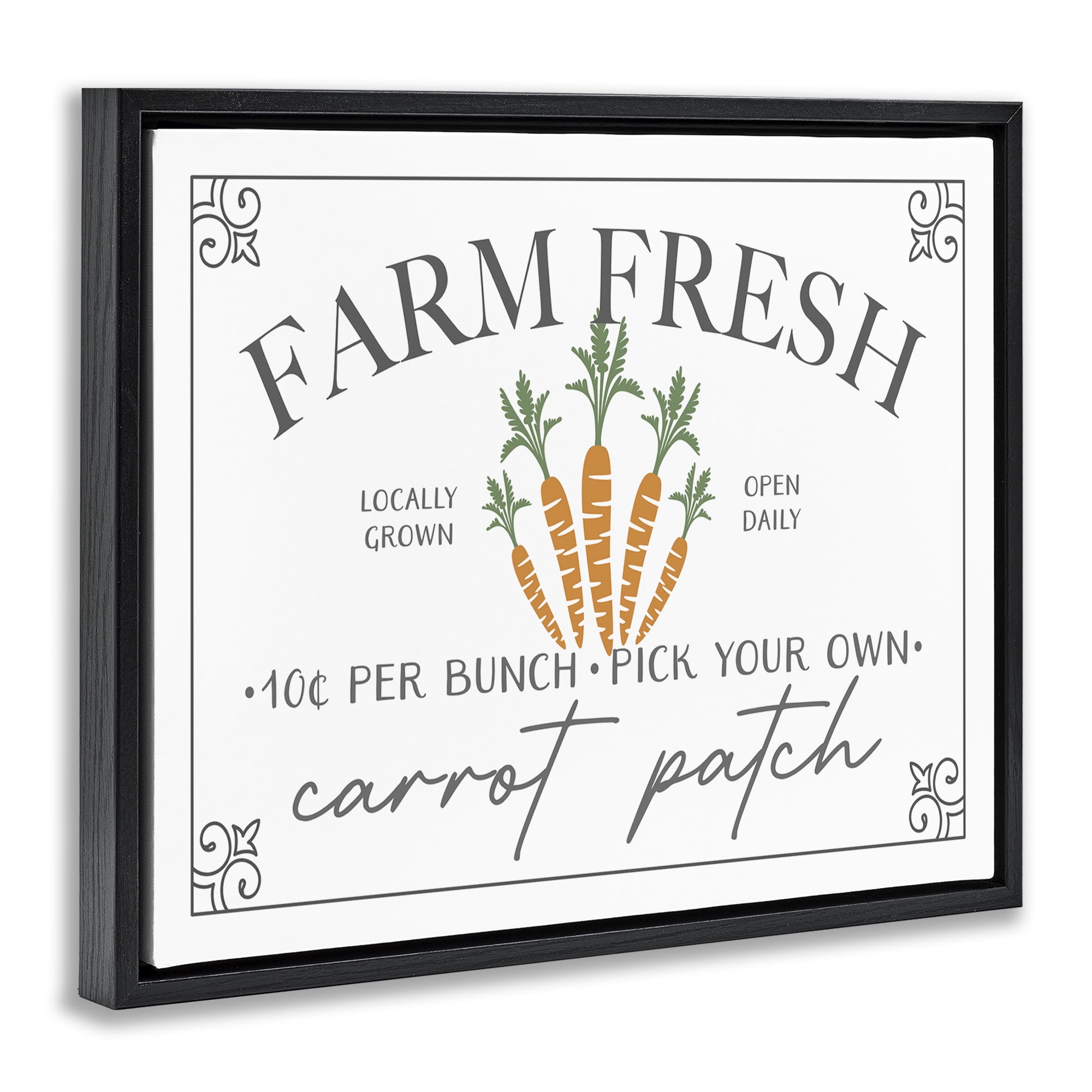 Farm Fresh Carrot Patch Seasonal Springtime Vegetables Black Floating Frame Canvas Art, 21 x 17, By JJ Design House LLC