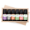 Plant Therapy Essential Oil Sampler Gift Set #2 10 mL (1/3 fl. oz.) each, 100% Pure, Undiluted, Therapeutic Grade