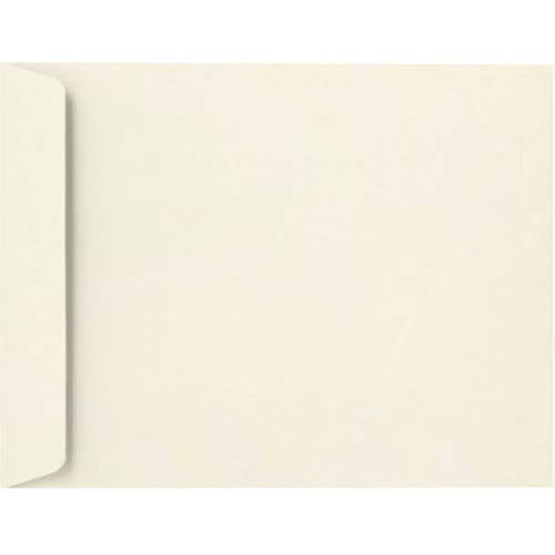 1590-205-250 | Security Tint Invoices or Statements 250 Qty Important Documents White w/Peel and Seel 28lb 9 x 12 First Class Double Window Envelopes Open End Perfect for Tax Season 