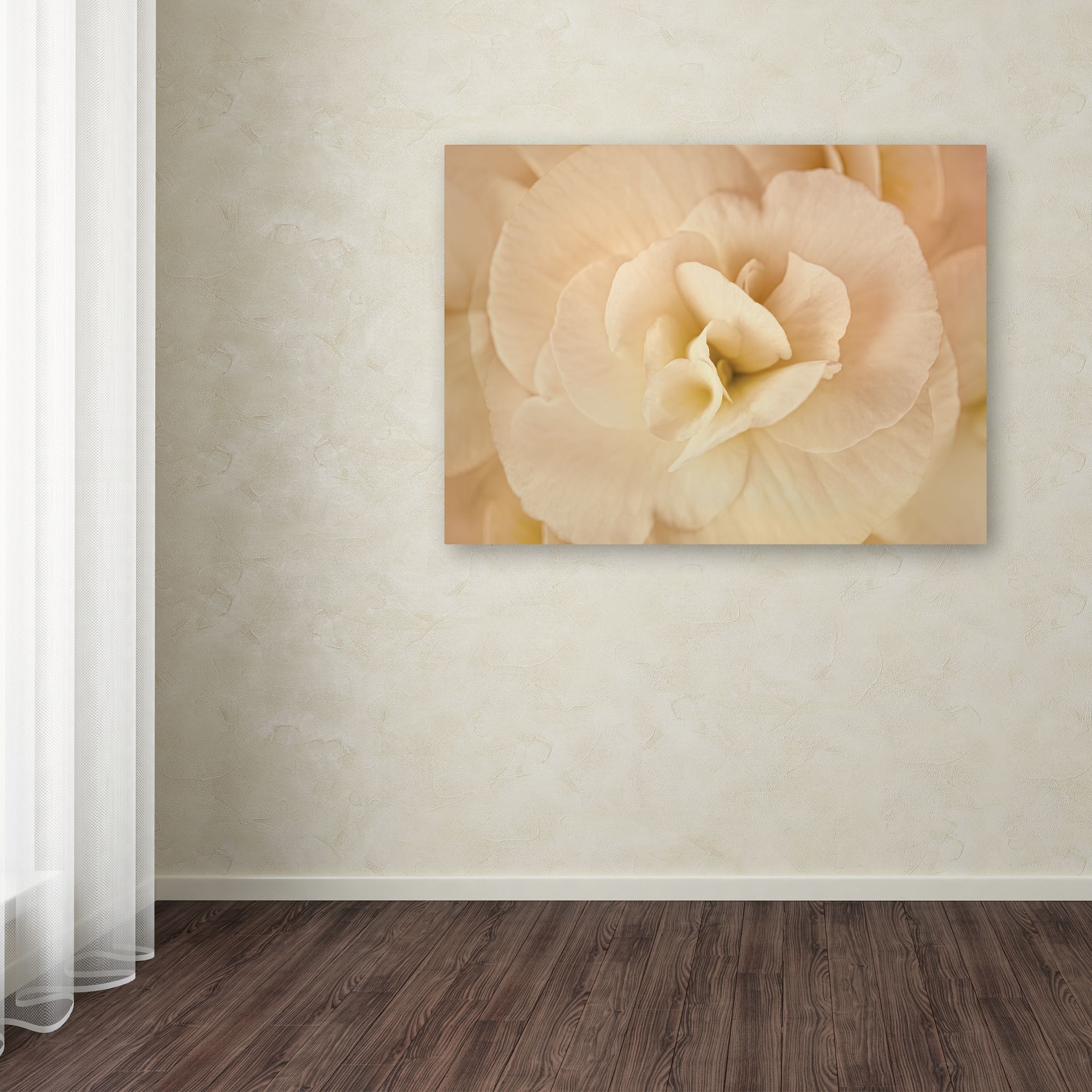 Trademark Fine Art 'Amber Begonia Flower' Canvas Art by Cora Niele