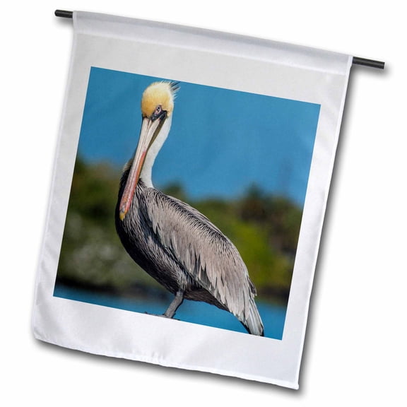 3dRose, USA, Florida, New Smyrna Beach, pelican perched on pylon., 18 x 27 inch Garden Flag