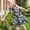 Dark Gray, variant on ATOGUTA Dresses Girls Summer Ruffle Sleeve A Line Casual Party Dresses for Kids Size 5T-14, Army Green