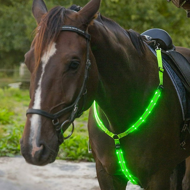 Collar de peto de caballo LED, tachuela de alta visibilidad para montar a caballo, equipo de seguridad ajustable