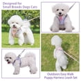thumbnail image 2 of Miaocao Cute Plaid No Pull Dog Harness for Small Dogs Soft Mesh Small Dog Harness and Leash Set Easy Walk Step in Puppy Harness Vest Pet Cat Chihuahua Yorkie Shih Tzu Dog Harnesses (Blue,S), 2 of 7
