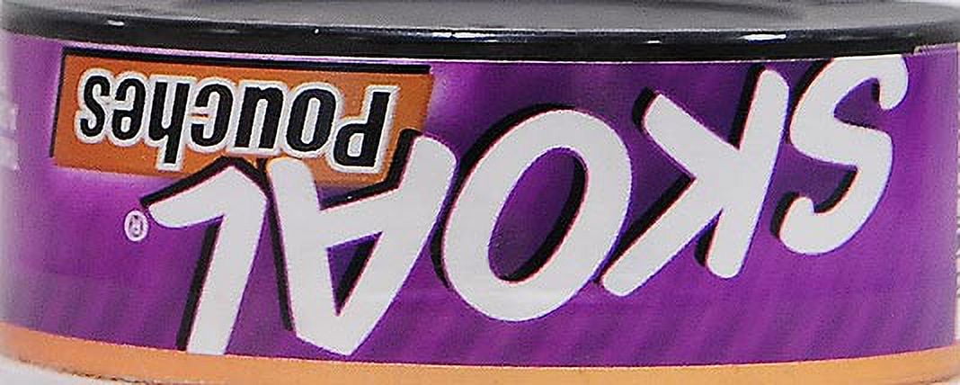 Skoal Berry Blend Pouches Can