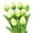 Light Green, variant on Darzheoy 10Pcs Artificial Tulip Real Touch Fake Flowers 13.5" for Mother's Day Easter Valentine’s Day Gifts in Bulk Home Kitchen Wedding Decorations