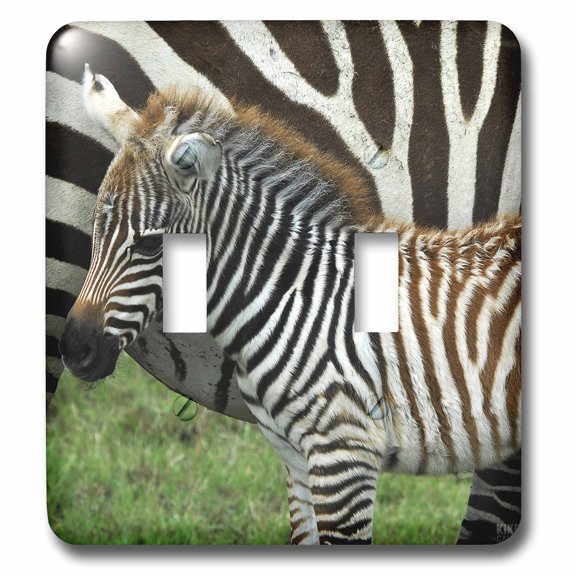 3dRose, Common zebra Kenya Africa 2, double toggle switch