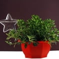 thumbnail image 3 of 6 Types  Self Watering Plant Waterer Glass Plant Flowers Water Feeder, 3 of 5