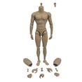 thumbnail image 4 of Muñecas De De Acción Muscur De Costuras 1: 6 Para Juguetes Calientes TTM19 Sunnimix Partes del cuerpo del músculo masculino, 4 of 7
