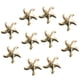 thumbnail image 4 of Tiara Nupcial de Pentagrama Gloria, 4 of 9