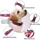 thumbnail image 3 of Collar para perros, collar acolchado reflectante ajustable clásico con anillo de aleación para, 3 of 5