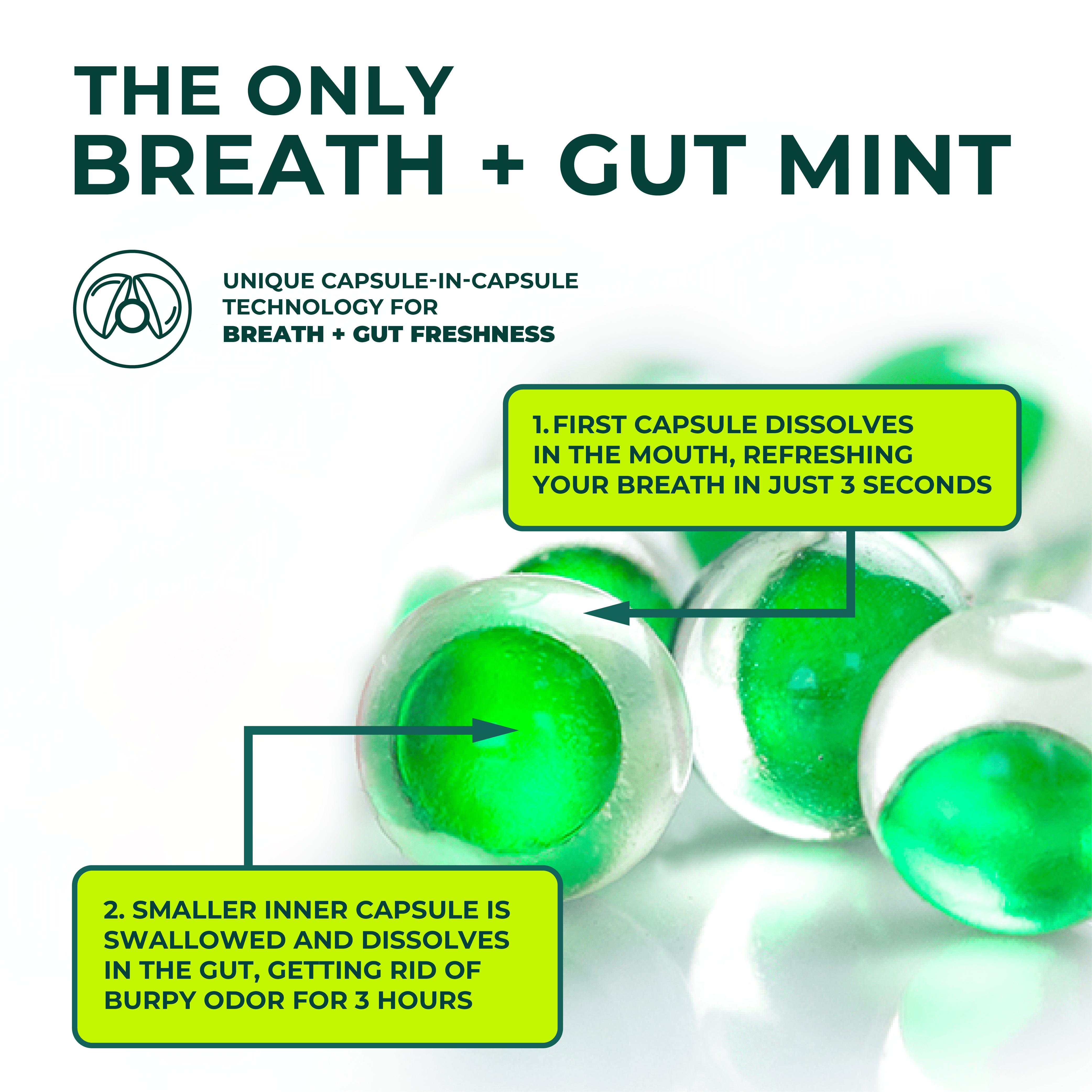 NUDE Mints, Gut Mints for Digestive Support + Bad Breath, ALL Flavors, 5-Pack of Mints – Sugar-Free | Keto-Friendly | 0 Carbs | 0 Calories | Promotes Gut Health