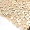 thumbnail image 5 of BalsaCircle 5 Champagne 10" Big Payette Sequined Chair Sashes Catering, 5 of 6