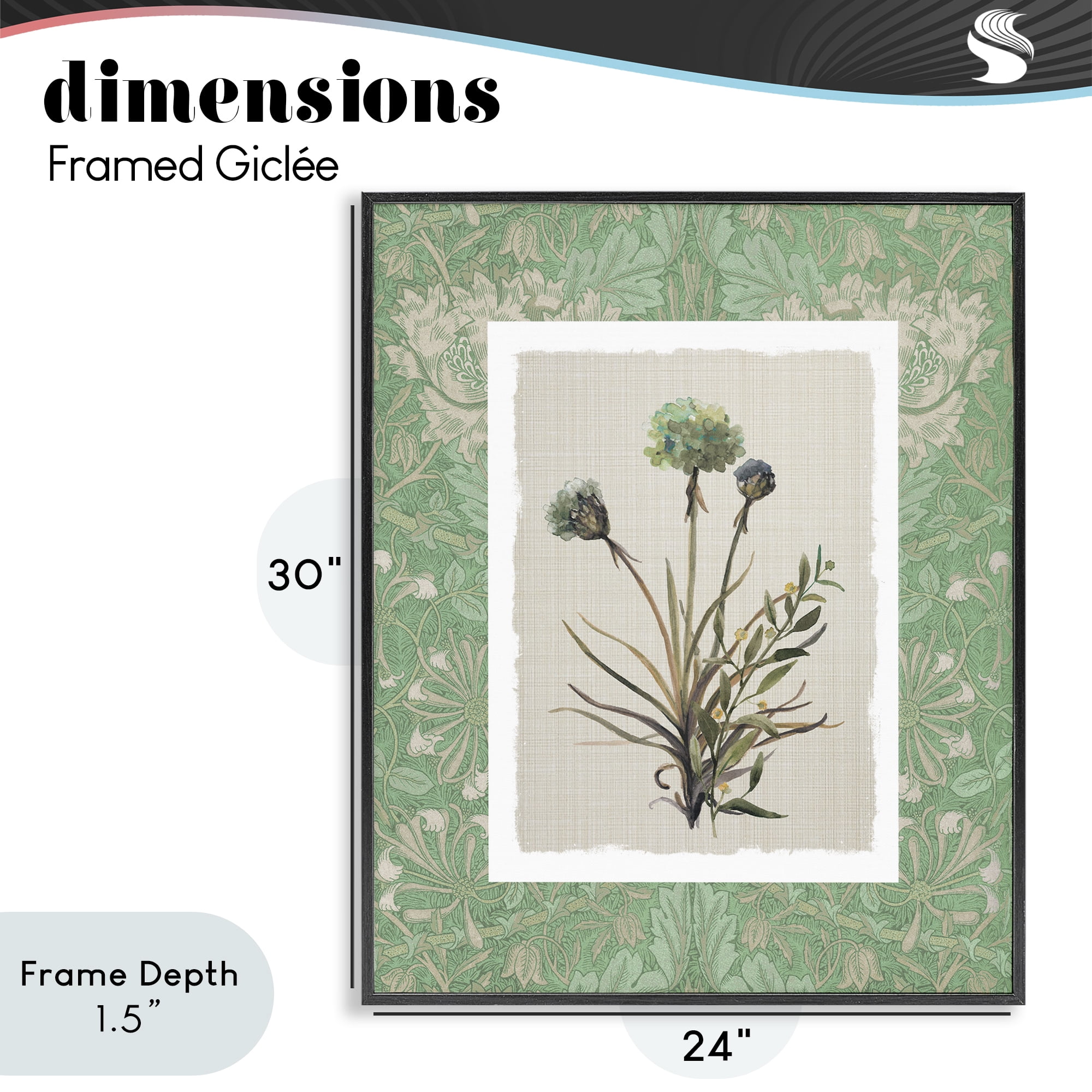Stupell Industries Vintage Foliage in Green Black Framed Giclee Art, design by Carol Robinson