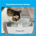 thumbnail image 4 of Premier Pet 100 oz. Pet Fountain- Dog - Automatic Water Fountain for Dogs and Cats, 4 of 12