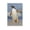 Unframe-style, variant on Funny Penguin Cute Black And White Penguin Kawaii Animal Wall Art Picture Painting Poster Canvas Print Posters Artworks Bedroom Living Room Decor 16x24inch(40x60cm)