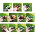 thumbnail image 3 of Modelo de simulación de insectos, arañas falsas realistas espeluznantes, grillo, mariquita, Grasshoppe E65D, 3 of 3
