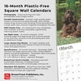 thumbnail image 6 of AMERICAN COCKER SPANIELS 2025 SQUARE WRA, 6 of 9