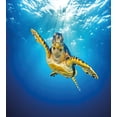 thumbnail image 3 of Ambesonne Turtle Duvet Cover Sets, Blue Waters Swimming, 2-Twin, Blue Yellow Dark Brown, 3 of 4