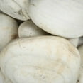 thumbnail image 3 of MSI Sahara White Boulder (75 lbs), 3 of 10