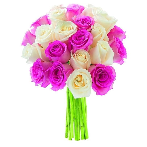 KaBloom :12 Pink Roses, 12 White Roses, 3 Greens, Next-Day Delivery, Gift for Every Occasion.
