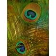 thumbnail image 2 of Sasha 12x14 White Modern Wood Framed Museum Art Print Titled - Peacock Candy II, 2 of 4