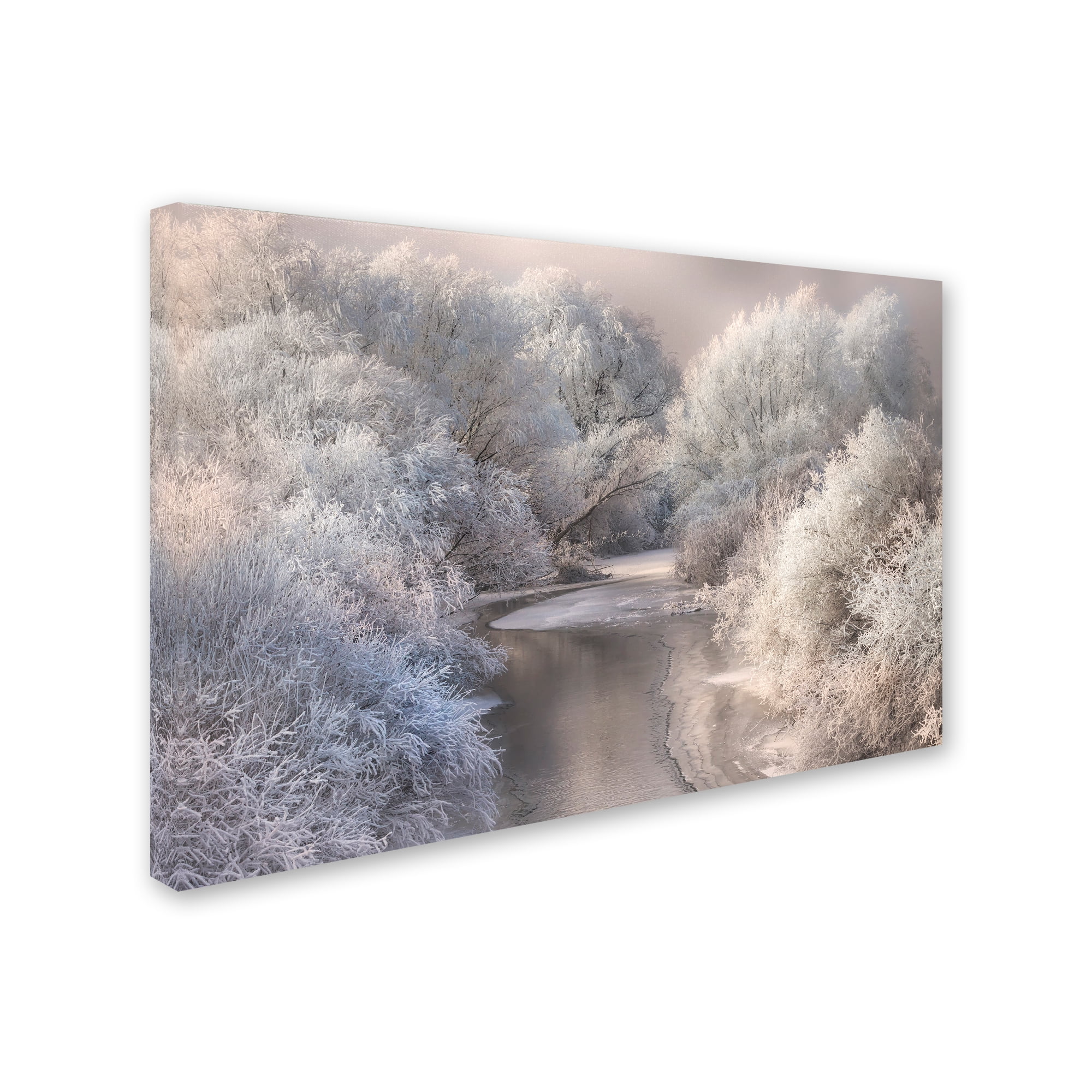Trademark Fine Art 'Winter Song' Canvas Art by Sebestyen Bela