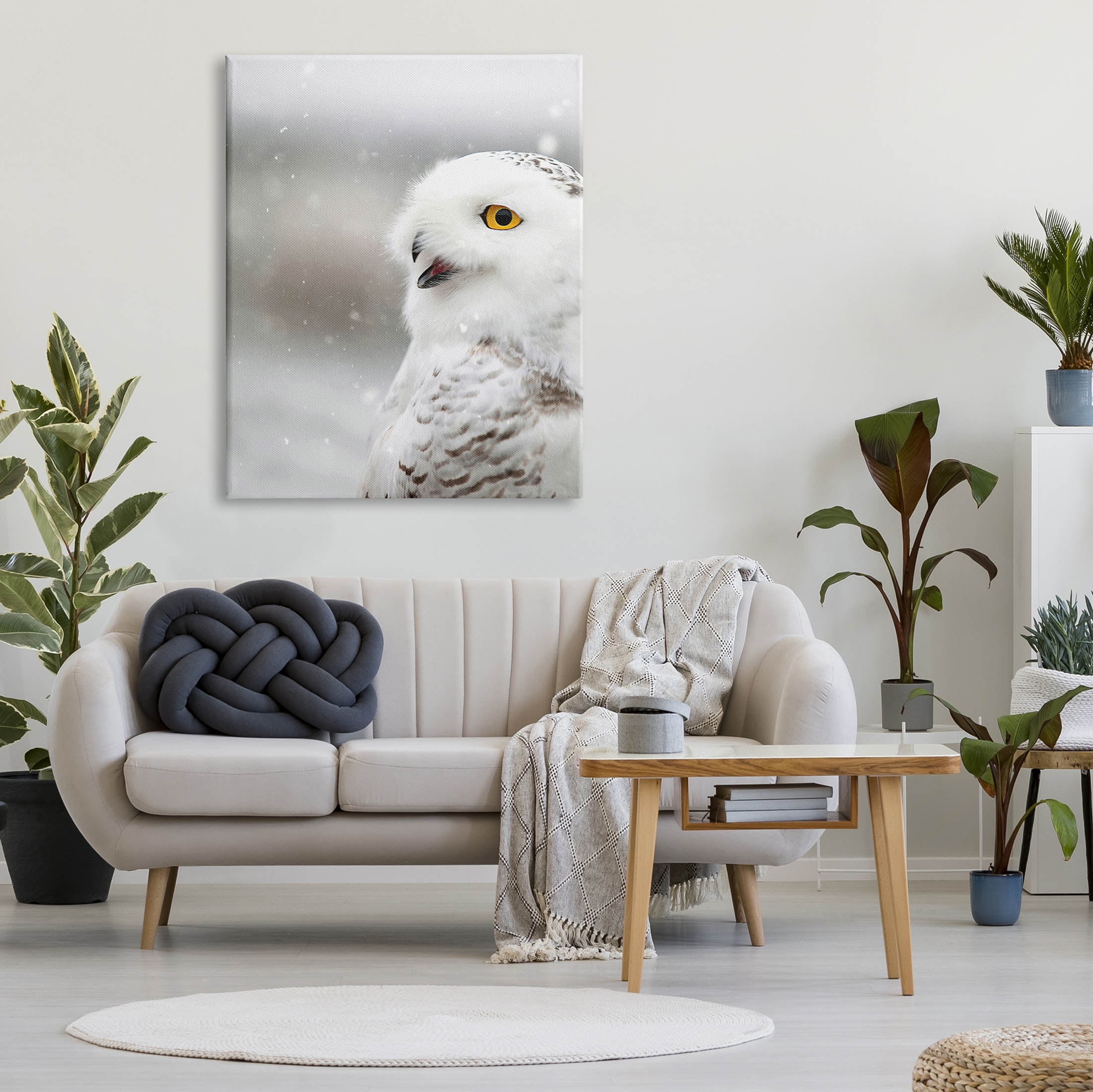 Stupell Industries Snowy Owl Winter Gaze Photograph Gallery Wrapped Canvas Print Wall Art, Design by Carrie Ann Grippo-Pike