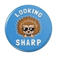 thumbnail image 1 of Looking Sharp Porcupine Funny Humor Pinback Button Pin, 1 of 5
